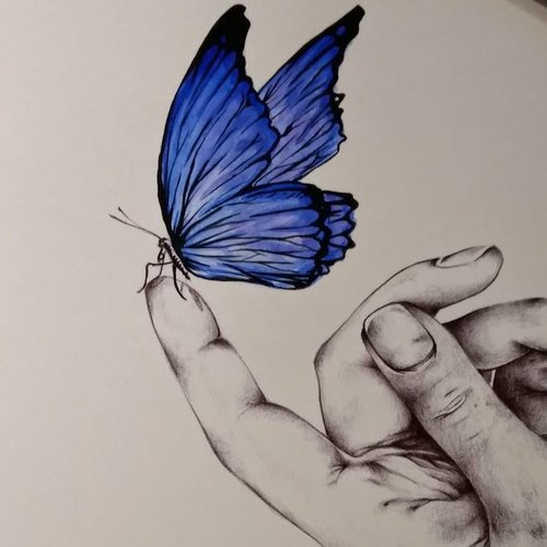 Snapshot: a blue butterfly in Bic and color landing on a fingertip